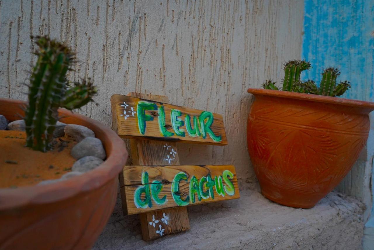 Bed and breakfast Fleur de cactus, Tamraght Extérieur photo